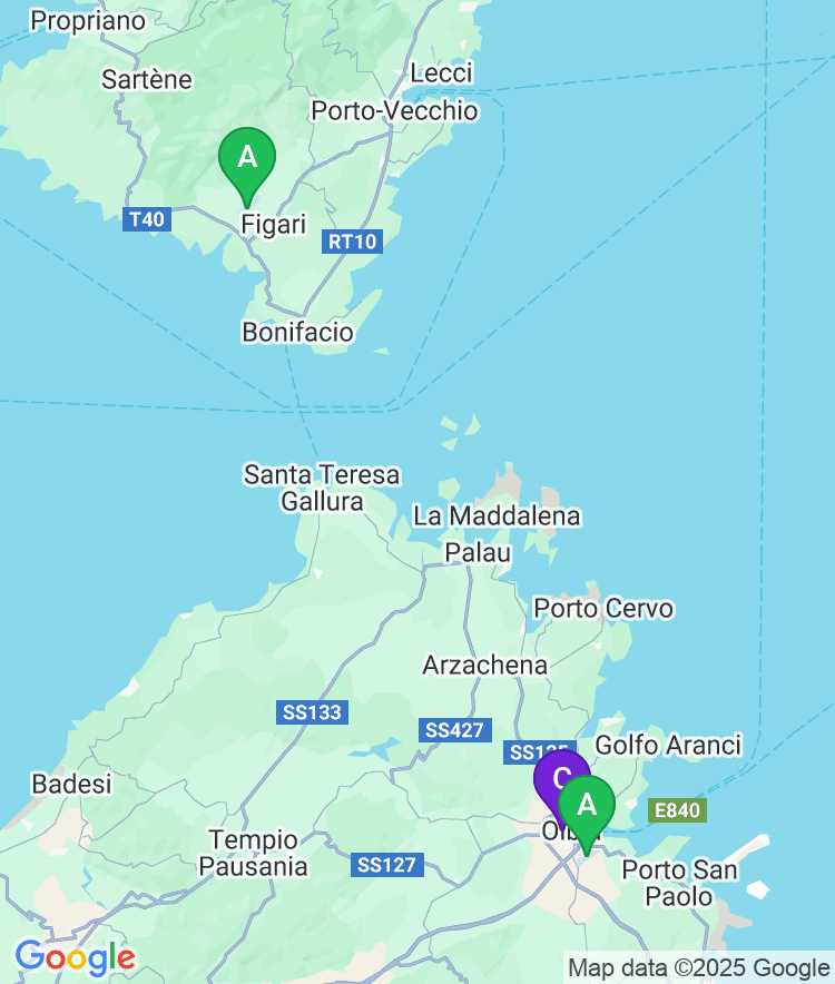 Olbia Available Airport Options